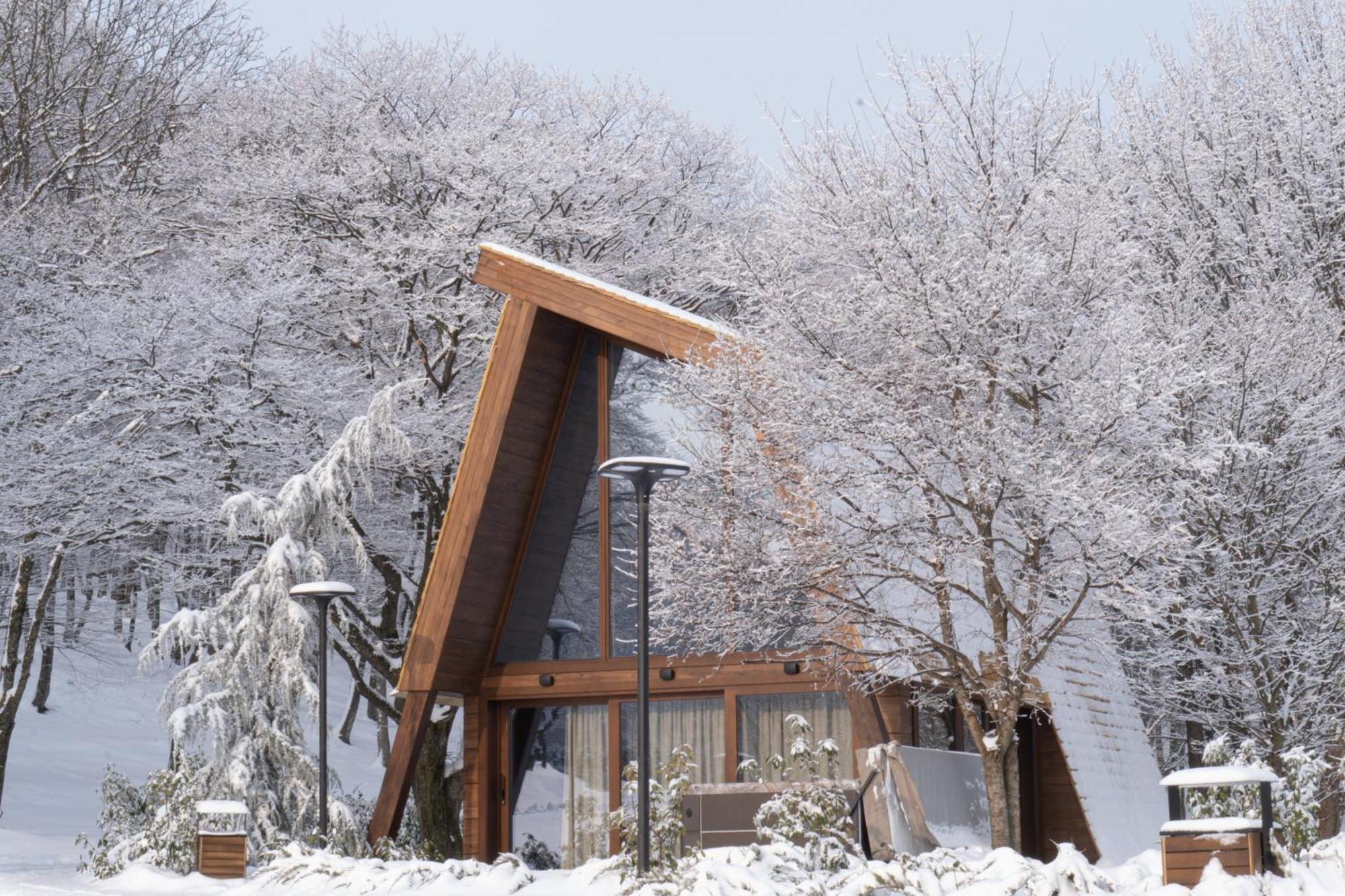 Bioli Wellness Resort Kojori Dış mekan fotoğraf