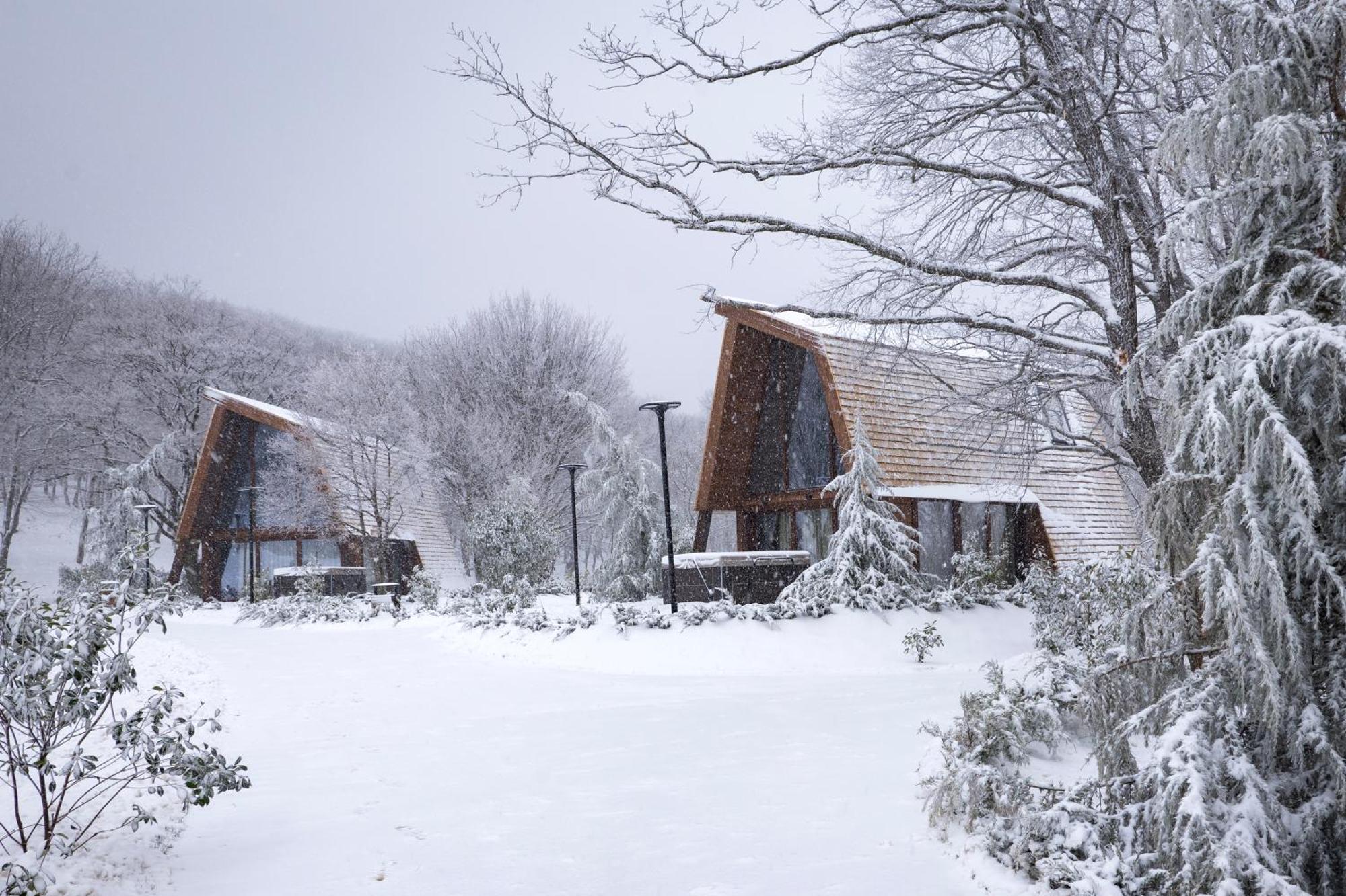 Bioli Wellness Resort Kojori Dış mekan fotoğraf