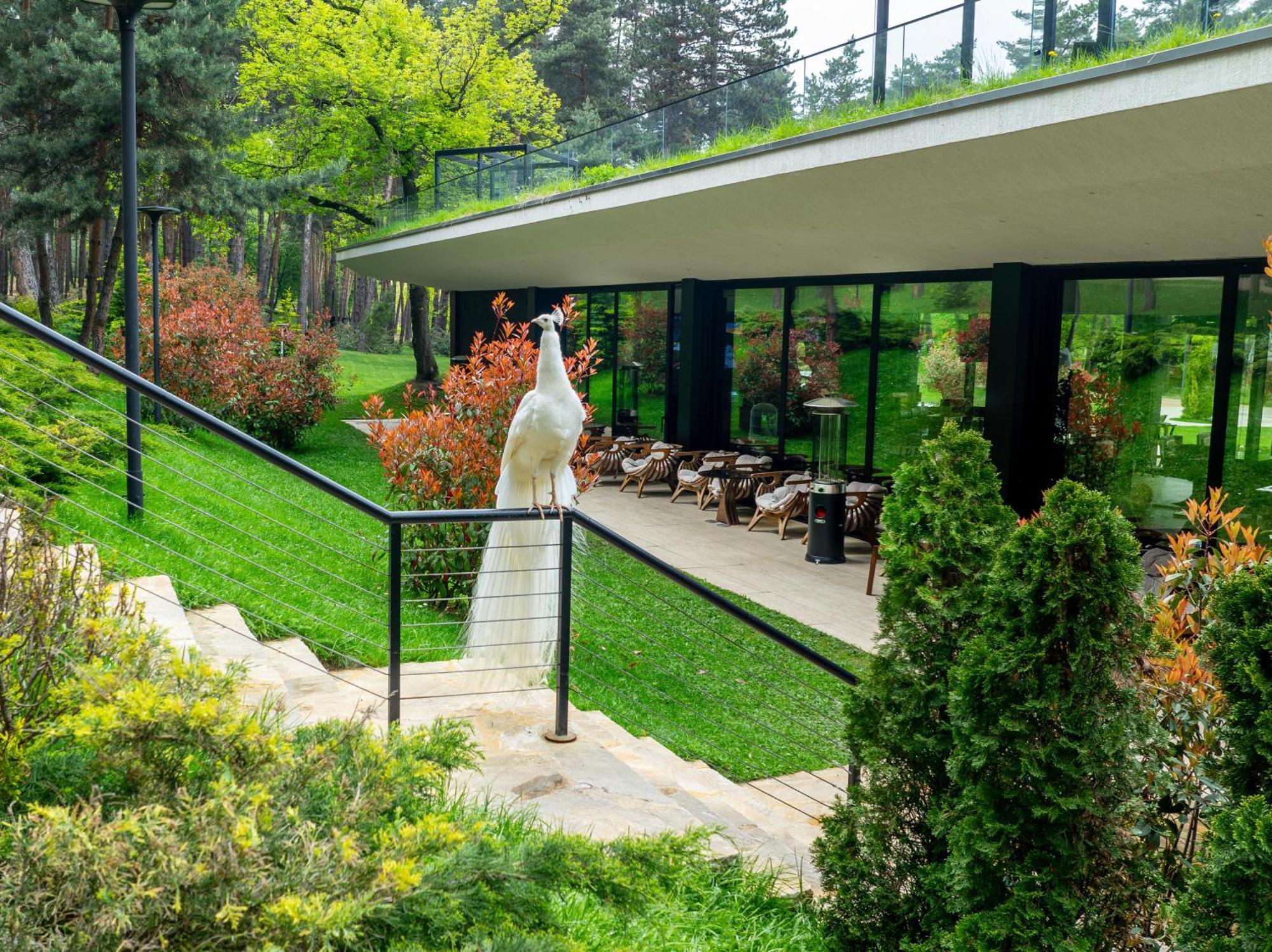 Bioli Wellness Resort Kojori Dış mekan fotoğraf